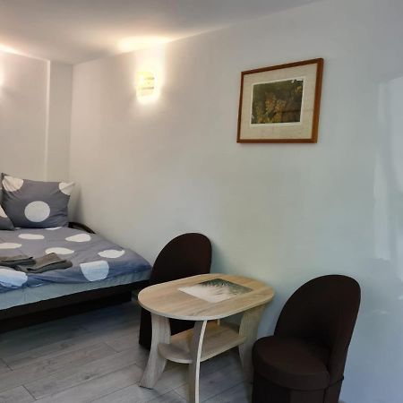 Kawalerka W Kudowie Zdroj Apartman Kudowa-Zdrój Kültér fotó